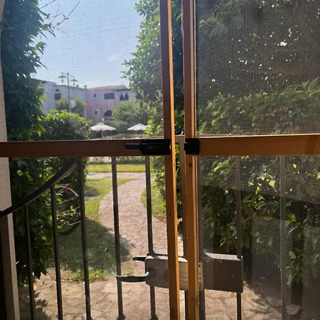 Borgo San Basilio Ulivi 1